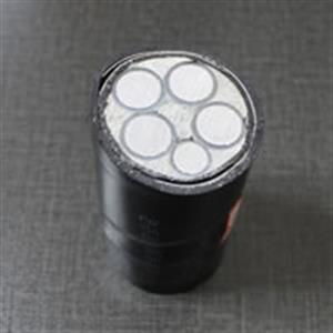 NH-YJLHV22鋁合金輻照交聯(lián)聚乙烯絕緣鋼帶鎧裝聚氯乙烯護(hù)套耐火電纜